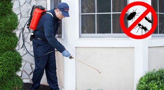 Gümüşhacıköy Karınca İlaçlama böcek ilaçlama ve haşere kontrolü — ilaclama-tr.com